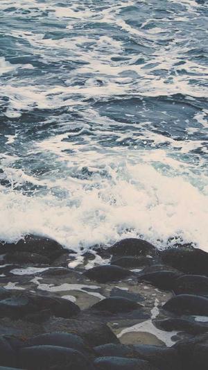 大侠seo工具截图3