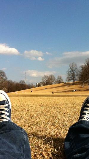 seo怎么优化截图5