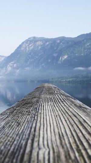 蜘蛛池哪里有卖截图2