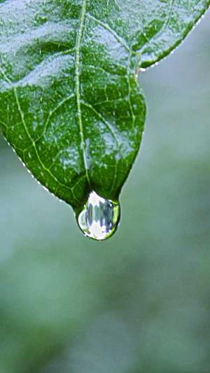 seo外链提交工具截图2