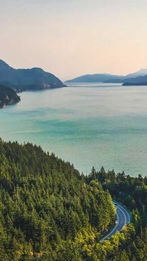 蜘蛛池搭建成本多少元截图5