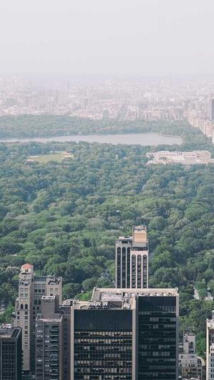 seo网络优化截图2