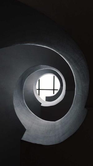 蜘蛛池哪家更好用截图2