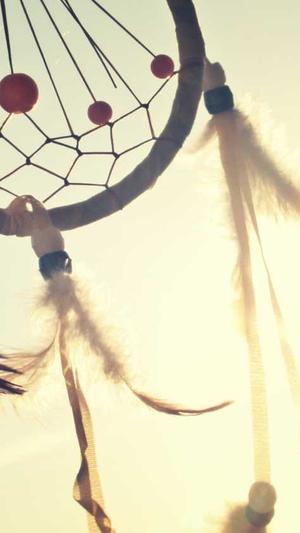 蜘蛛池如何盈利截图5