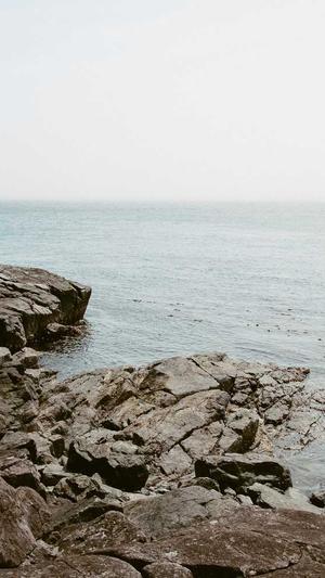 重庆网站seo公司截图5