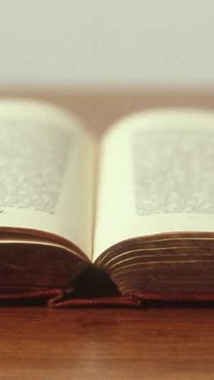 蜘蛛池站群源码截图1