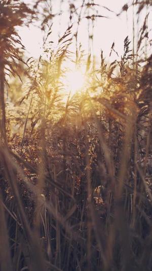 余姚网站建设截图1