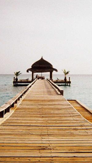 崇左网站建设截图4