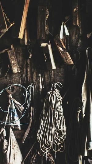 黑帽泛目录截图1