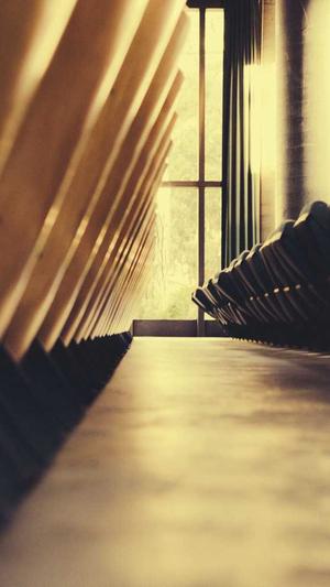 安徽网站建设截图1