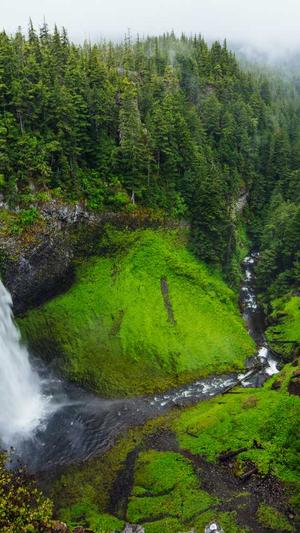 SEO辅助优化工具截图3