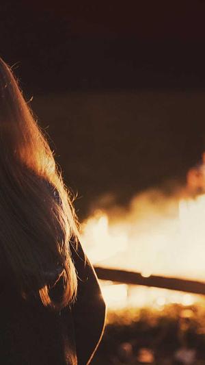 最新蜘蛛池免费版下载截图2