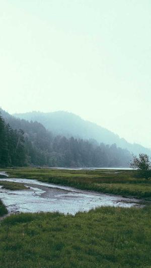 泛目录百度推送工具截图3