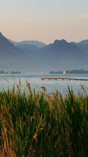 泛站和蜘蛛池截图3