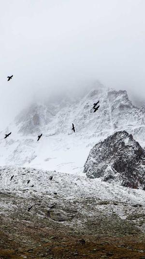 蜘蛛池哪里有卖截图3