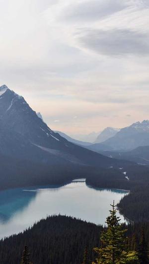 绵阳seo优化截图4