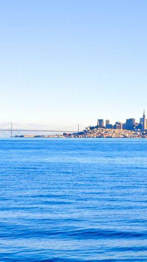 蜘蛛池tdk缓存几小时截图3