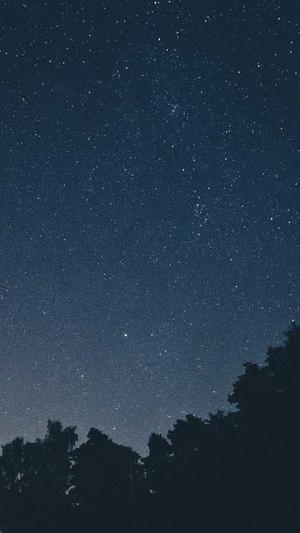 大理网站建设截图3