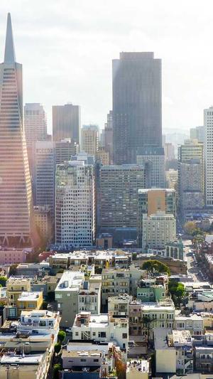 站长工具seo查询搜狗截图4