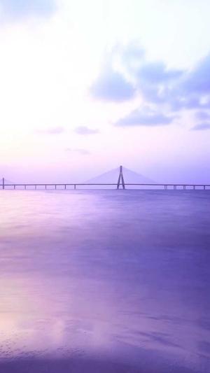 seo查询工具有哪些截图5