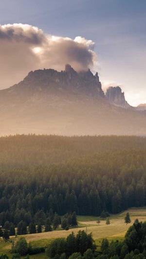 陕西蜘蛛池出租平台截图2