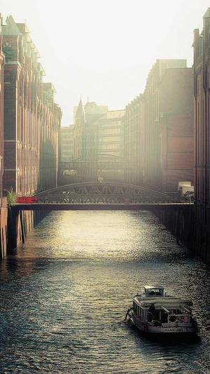 二级域名做蜘蛛池截图1