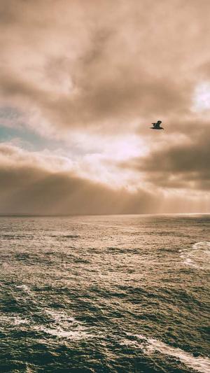 搜狗蜘蛛池权重截图2