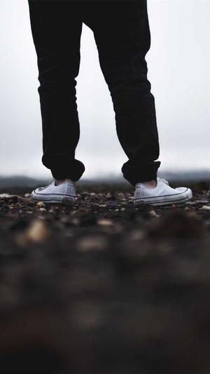 蜘蛛池搭建成本多少元截图4