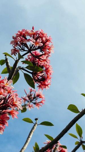 简单的网站建设截图3