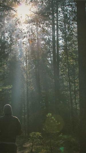 邯郸网站建设截图2