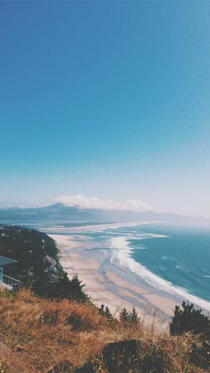 seo刷排名前十的工具截图4